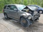 2011 FORD ESCAPE XLT   for sale at Copart ON - COOKSTOWN