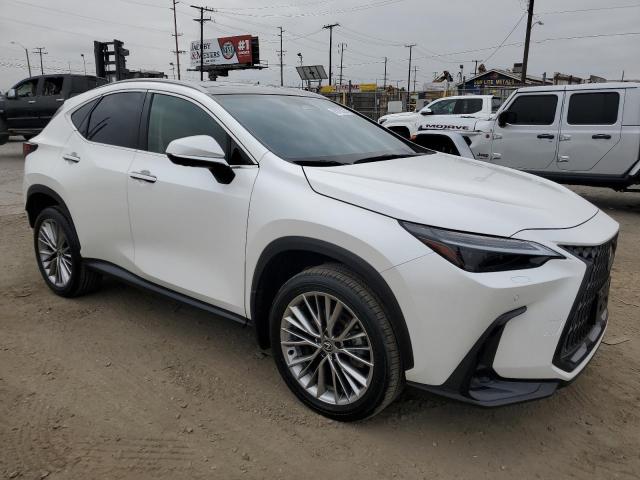  LEXUS NX 350H BA 2024 Белы