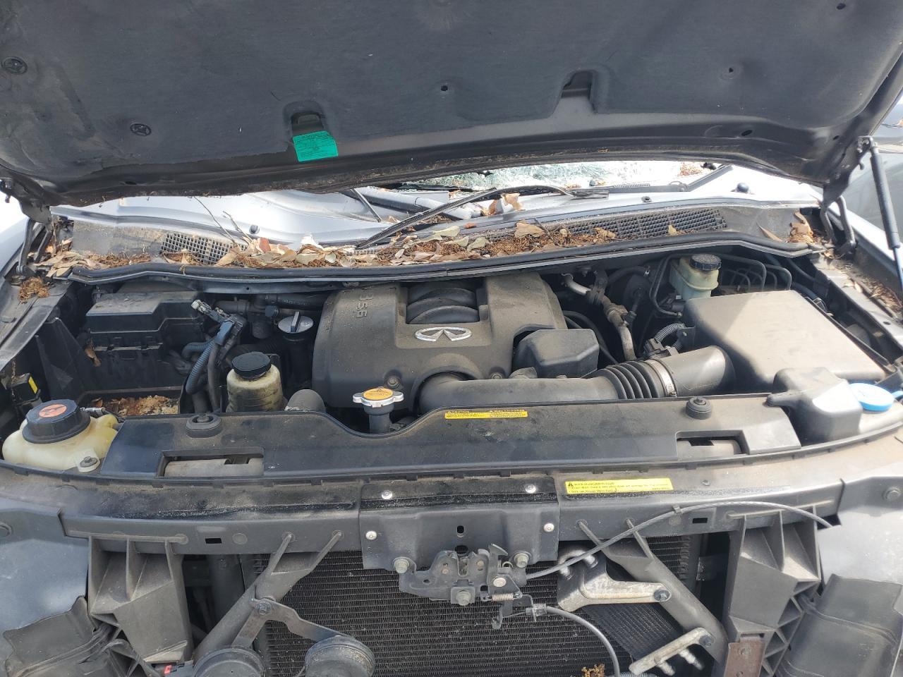 2004 Infiniti Qx56 VIN: 5N3AA08AX4N808611 Lot: 61828905