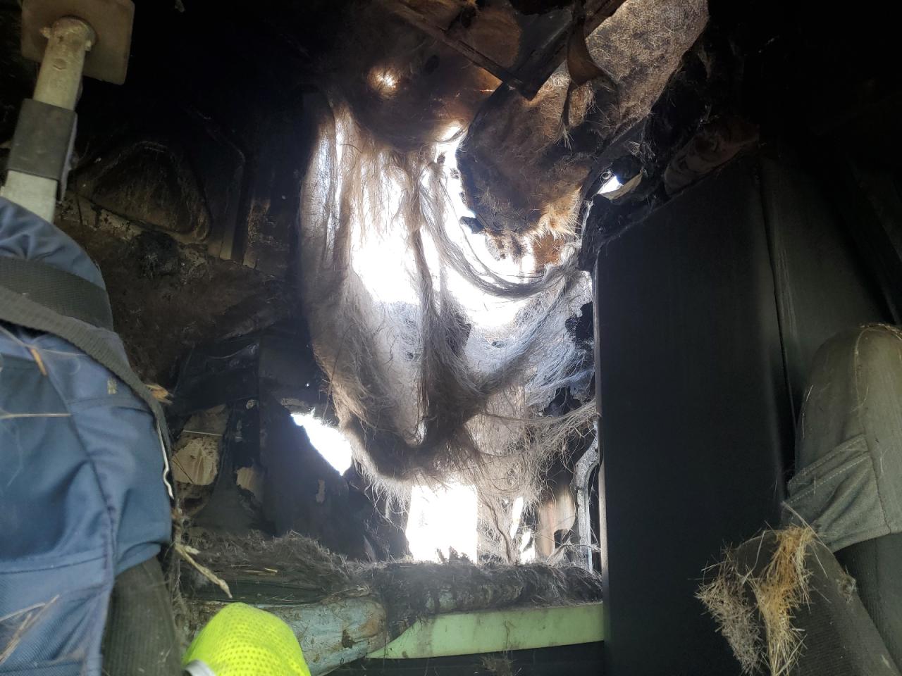 2020 Freightliner Cascadia 126 Semi Truck VIN: 3AKJHHDR9LSLX7608 Lot: 63015565