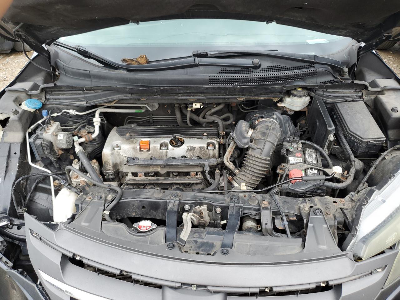 2013 Honda Cr-V Exl VIN: 2HKRM4H73DH687116 Lot: 64655145