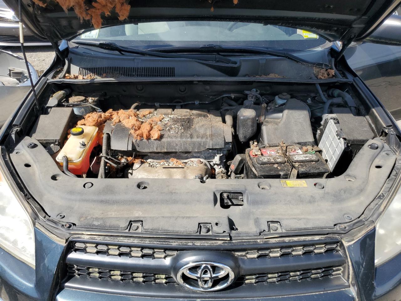 2011 Toyota Rav4 VIN: 2T3JF4DV8BW141199 Lot: 65021355
