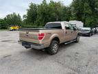 2013 FORD F150 SUPERCREW   for sale at Copart MA - NORTH BOSTON