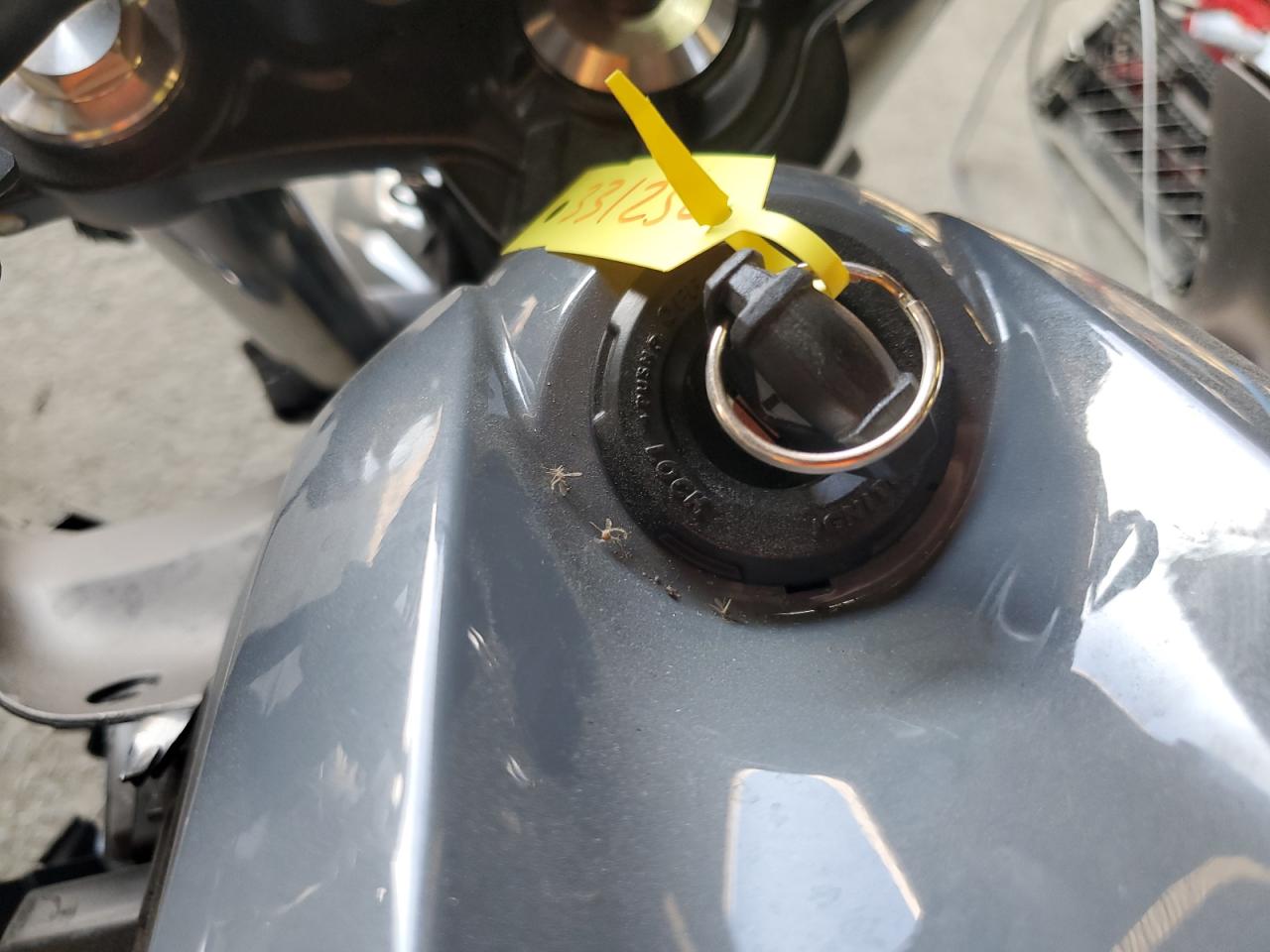 2024 Kawasaki Er650 P VIN: ML5EREP18RDAB4508 Lot: 66881135