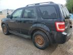 2011 FORD ESCAPE XLT   for sale at Copart ON - COOKSTOWN