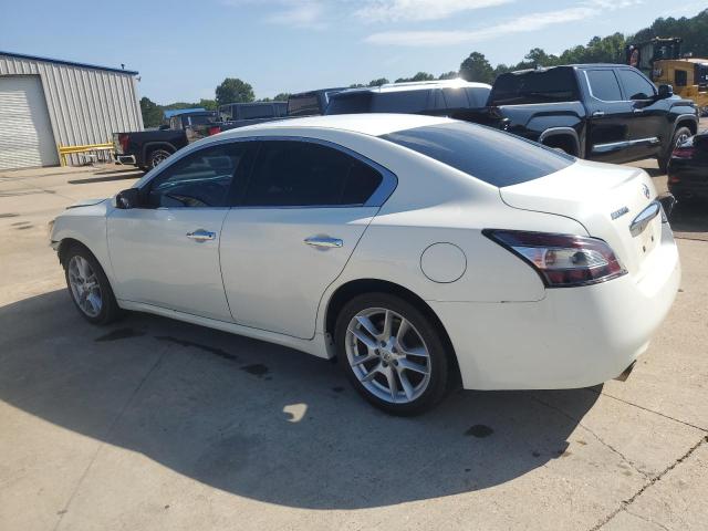 Sedans NISSAN MAXIMA 2014 White