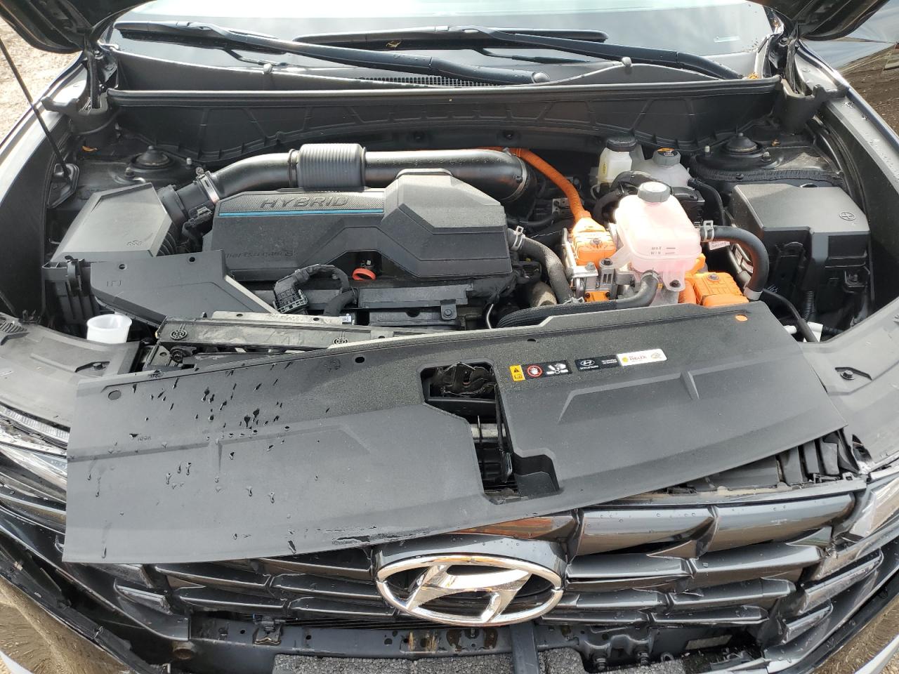 2022 Hyundai Tucson Blue VIN: KM8JBCA1XNU029475 Lot: 64045415