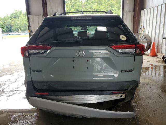  TOYOTA RAV4 2019 Gray