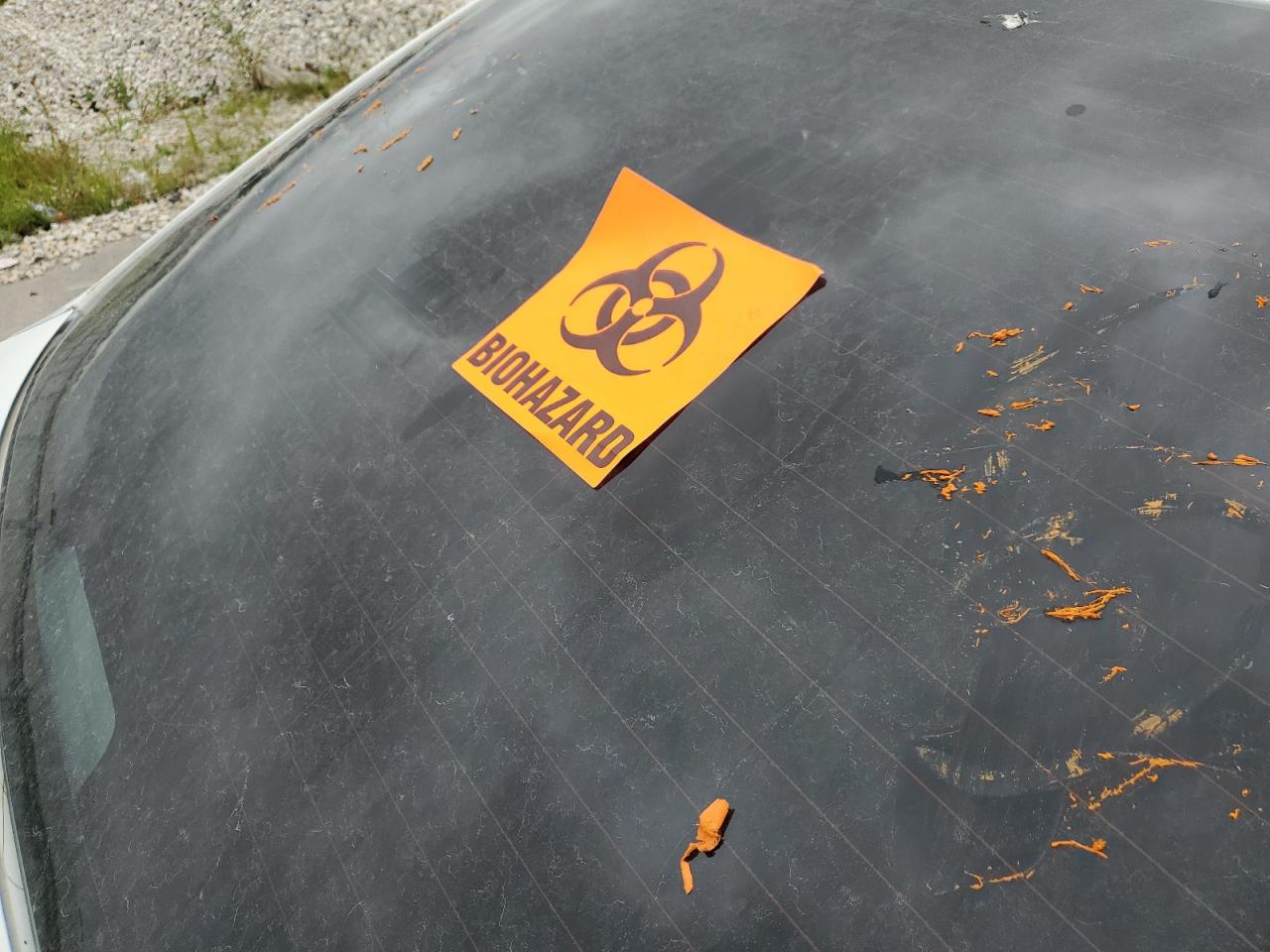 2017 Kia Forte Lx VIN: 3KPFK4A77HE083226 Lot: 67169675