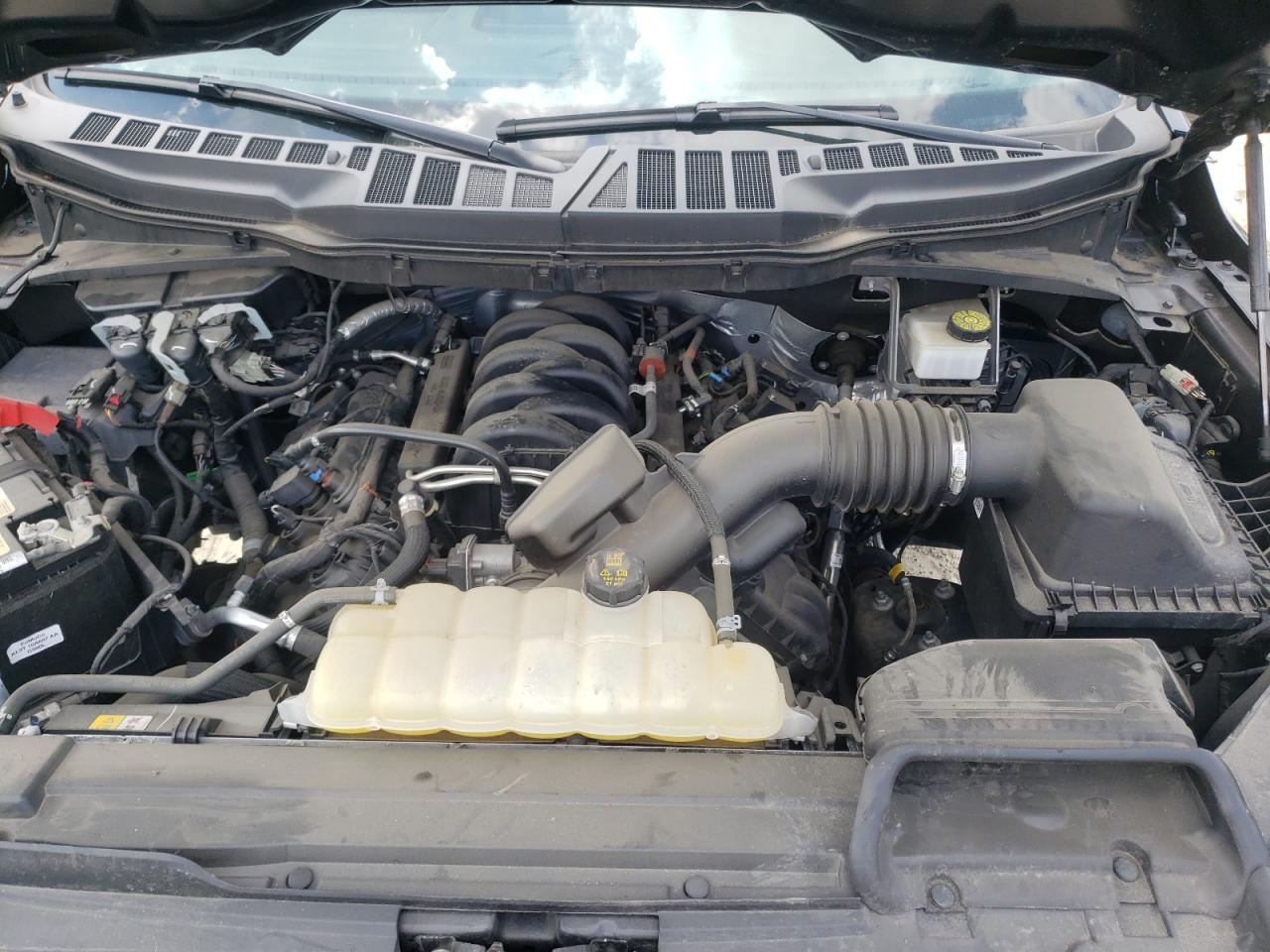1FTFW1E55MFA88596 FORD F-150 2021