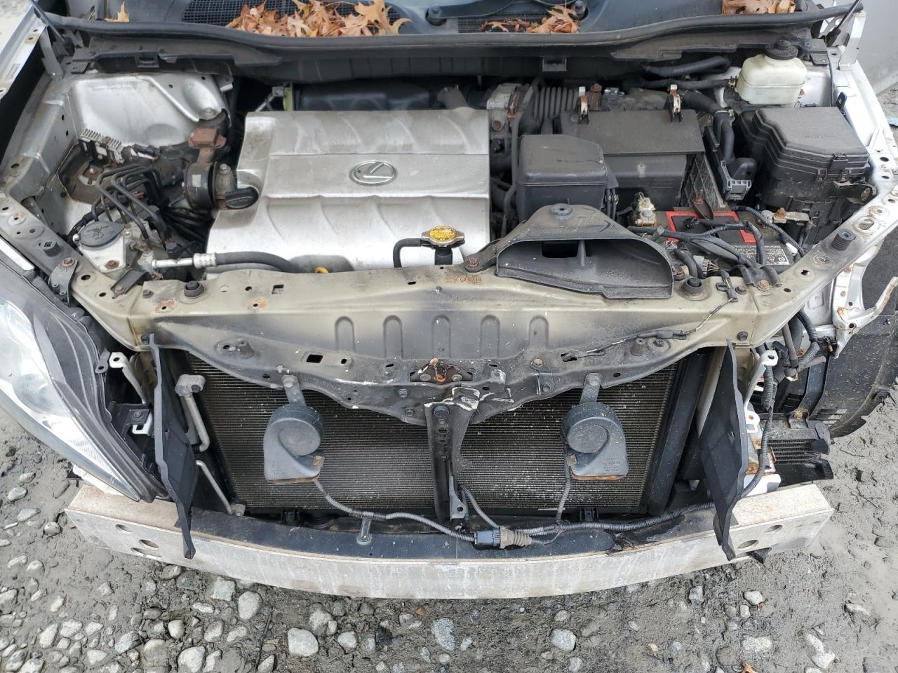 2010 Lexus Rx 350 VIN: 2T2BK1BA9AC079265 Lot: 62896445