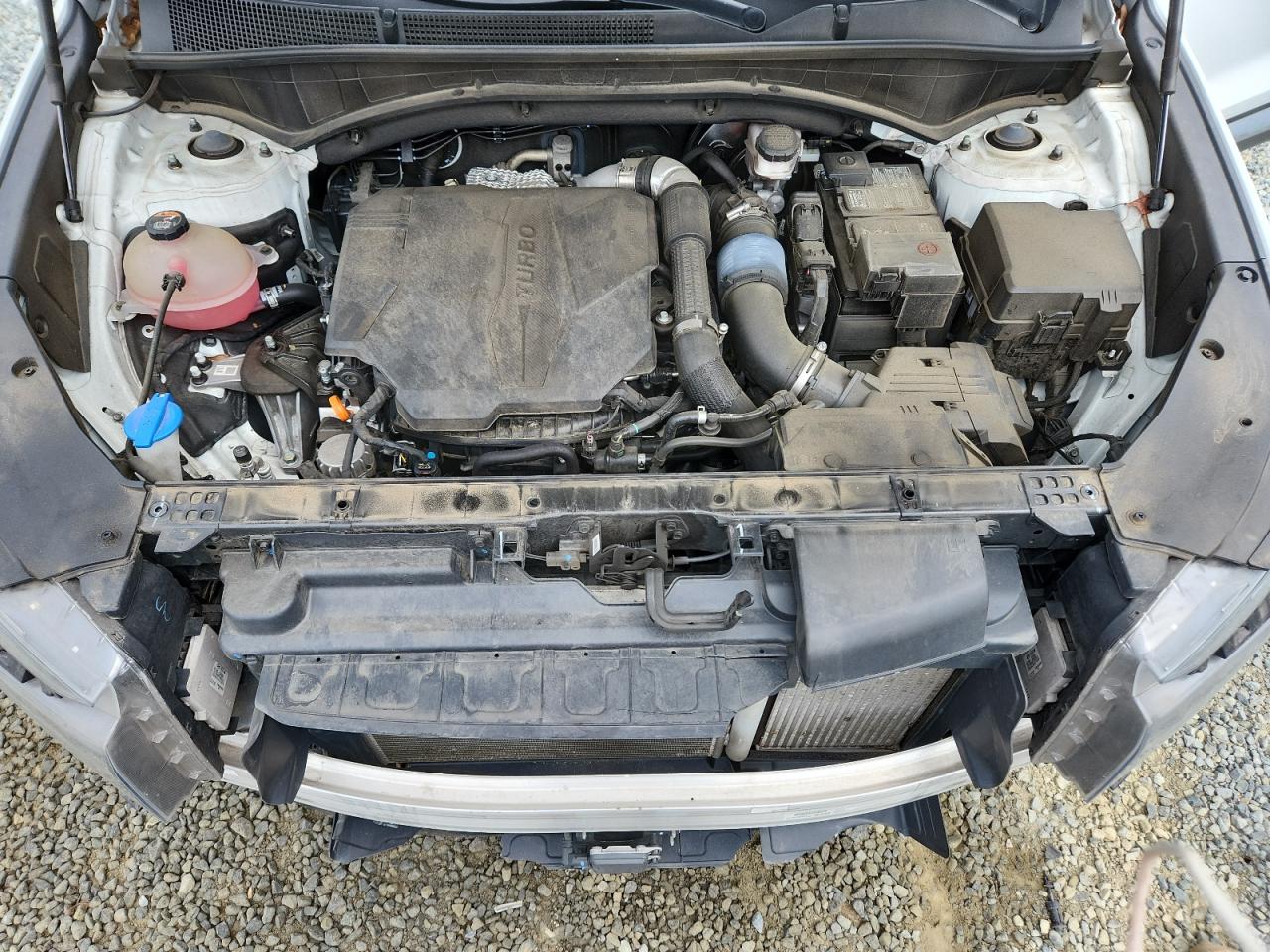2021 Hyundai Santa Fe Limited VIN: 5NMS4DAL1MH337635 Lot: 64073665