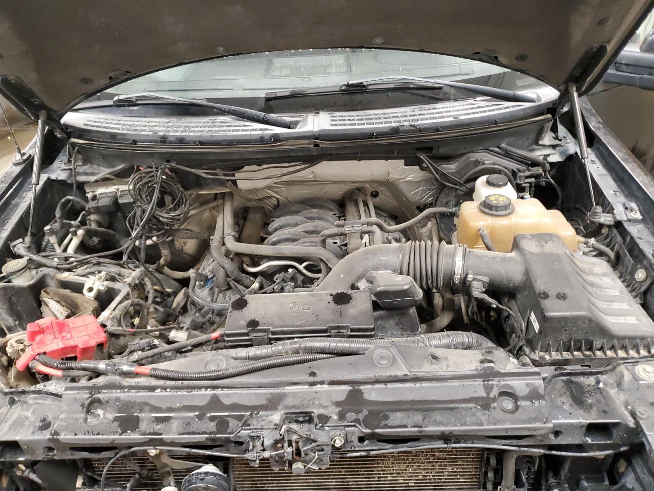 2013 Ford F150 Supercrew VIN: 1FTFW1EF3DFA40779 Lot: 64852385