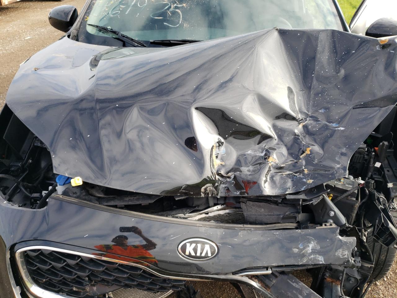 2020 Kia Sportage Lx VIN: KNDPM3AC5L7711444 Lot: 63672115