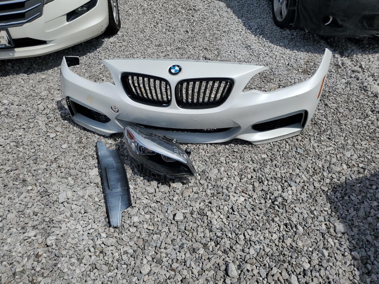 2016 BMW 228 Xi Sulev VIN: WBA1G9C52GV599778 Lot: 64416435