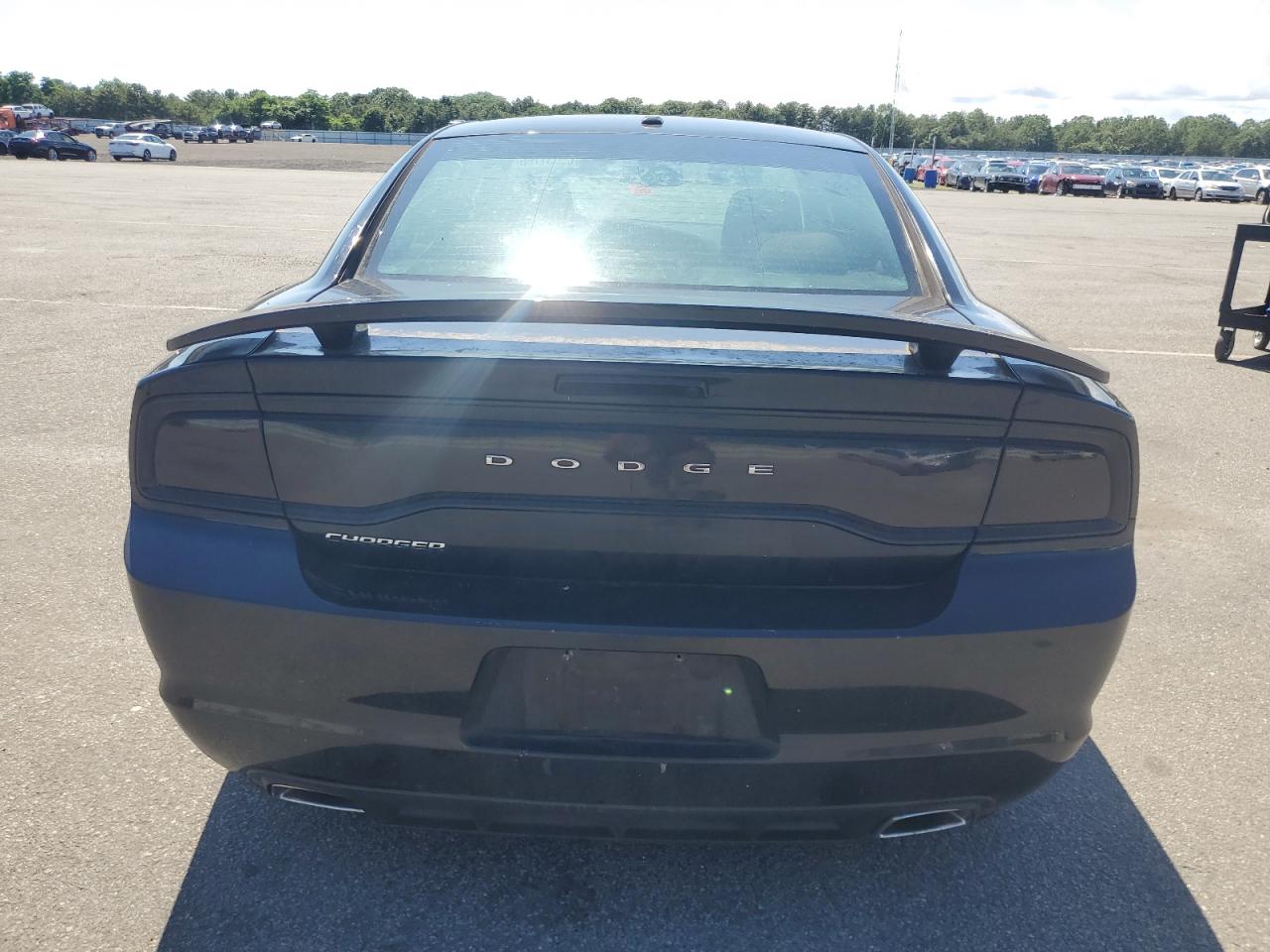 2013 Dodge Charger Sxt VIN: 2C3CDXHG0DH546685 Lot: 65031765