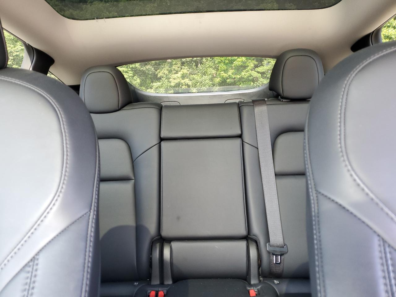 2022 Tesla Model Y VIN: 7SAYGDEF6NF502428 Lot: 65590625