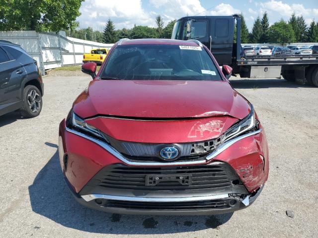  TOYOTA VENZA 2021 Burgundy