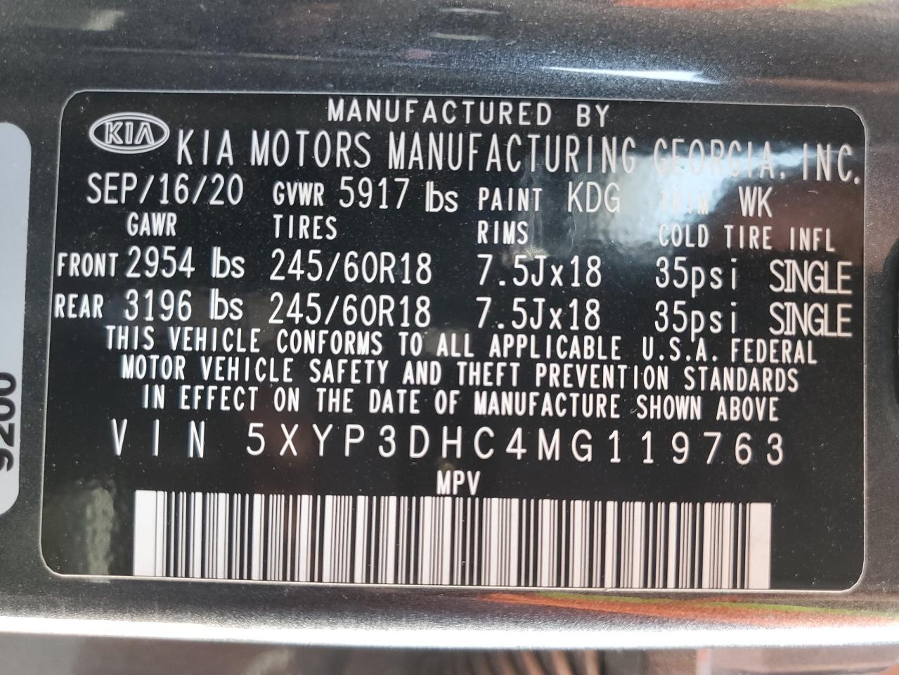 2021 Kia Telluride Ex VIN: 5XYP3DHC4MG119763 Lot: 65447105
