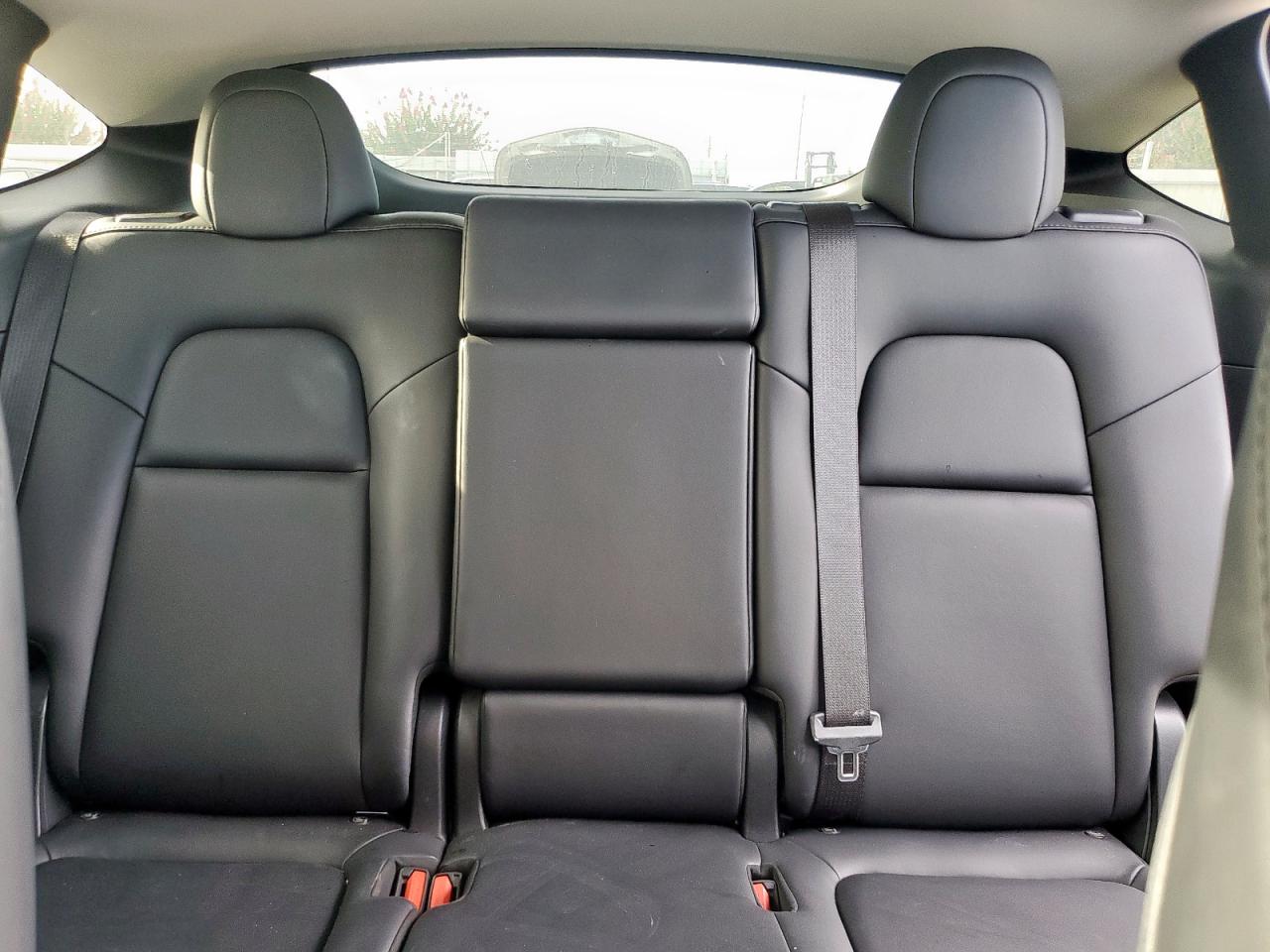 2023 Tesla Model Y VIN: 7SAYGAEE8PF894014 Lot: 65612225