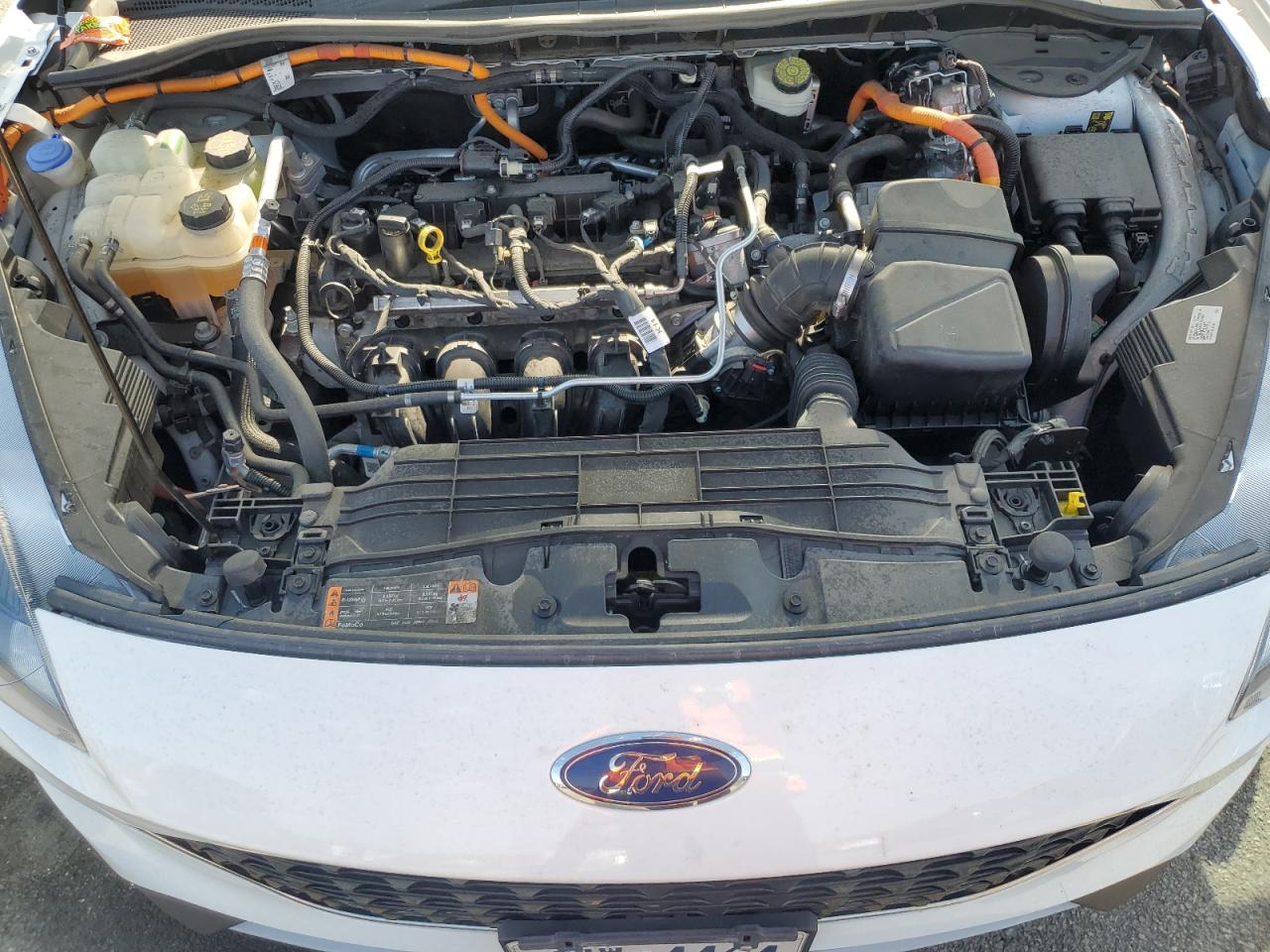 2022 Ford Escape Se VIN: 1FMCU9BZXNUA17207 Lot: 66705345