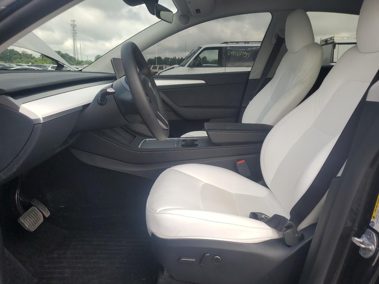 2024 Tesla Model Y VIN: 7SAYGDED8RF088976 Lot: 64036905