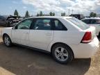 2005 CHEVROLET MALIBU MAXX LS   for sale at Copart AB - CALGARY