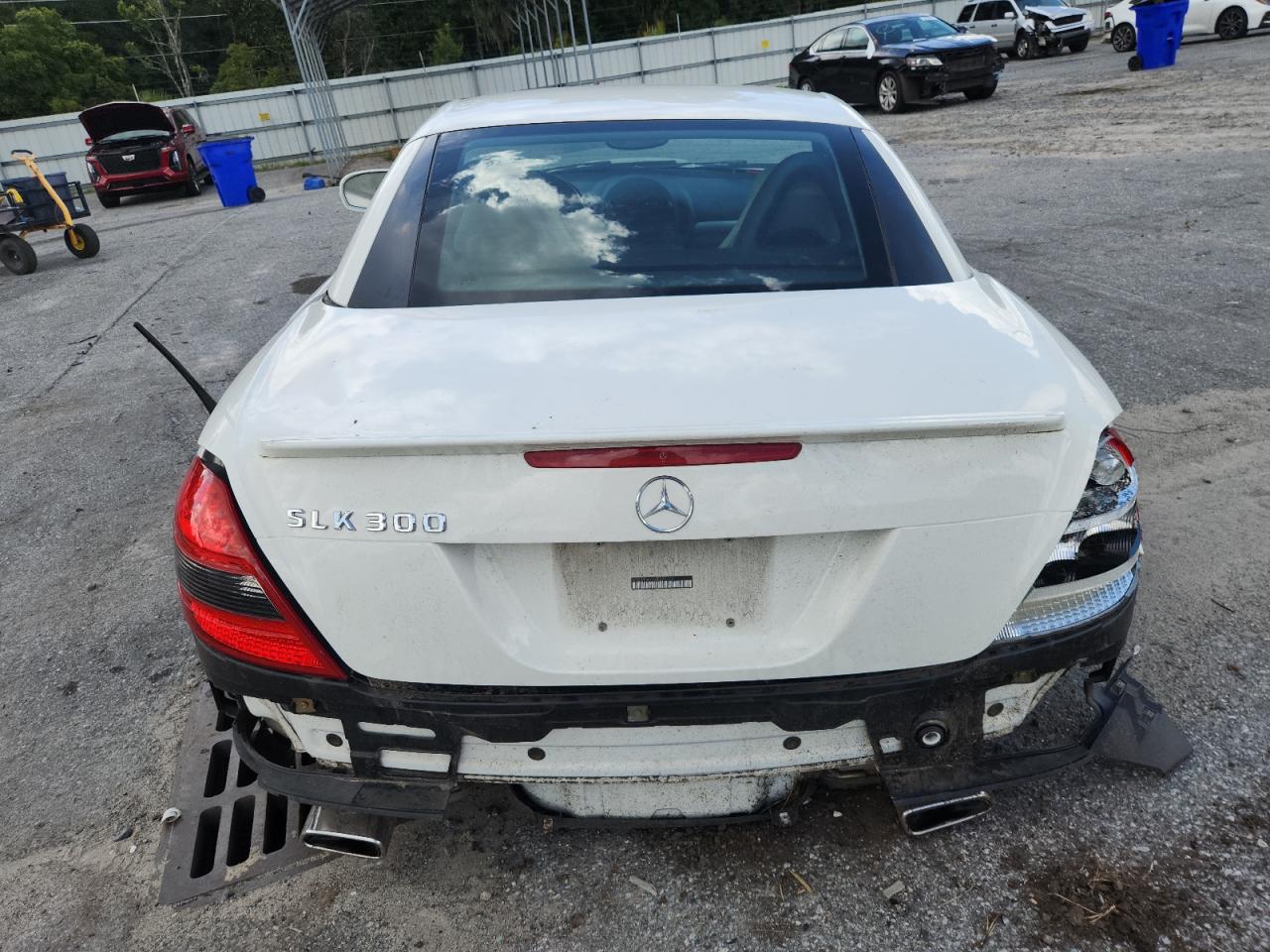 2010 Mercedes-Benz Slk 300 VIN: WDBWK5EAXAF229074 Lot: 64890255