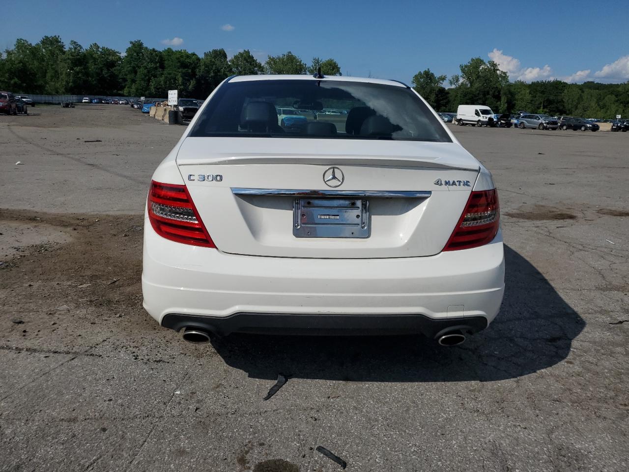 2014 Mercedes-Benz C 300 4Matic VIN: WDDGF8AB8EG217568 Lot: 64552225