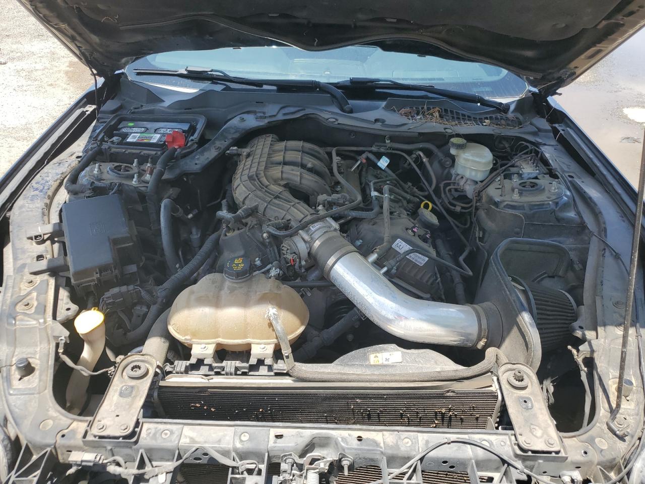 2017 Ford Mustang VIN: 1FA6P8AM1H5209452 Lot: 63865045