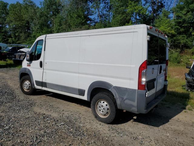 Vans RAM All Models 2015 Biały