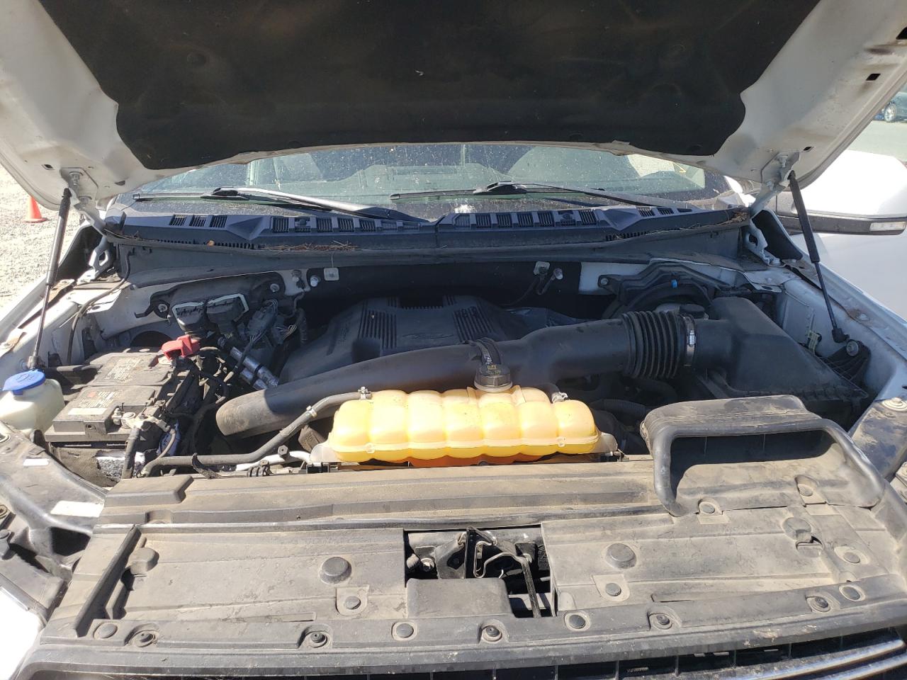 2019 Ford F150 Supercrew VIN: 1FTEW1E44KKC42142 Lot: 66345335