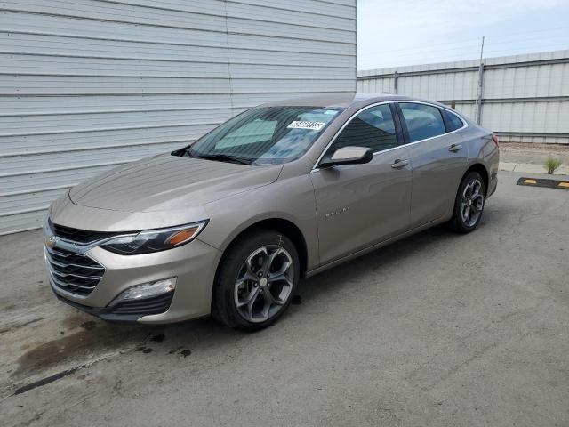  CHEVROLET MALIBU 2023 tan