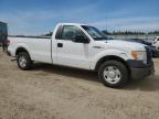 2009 FORD F150    for sale at Copart AB - EDMONTON