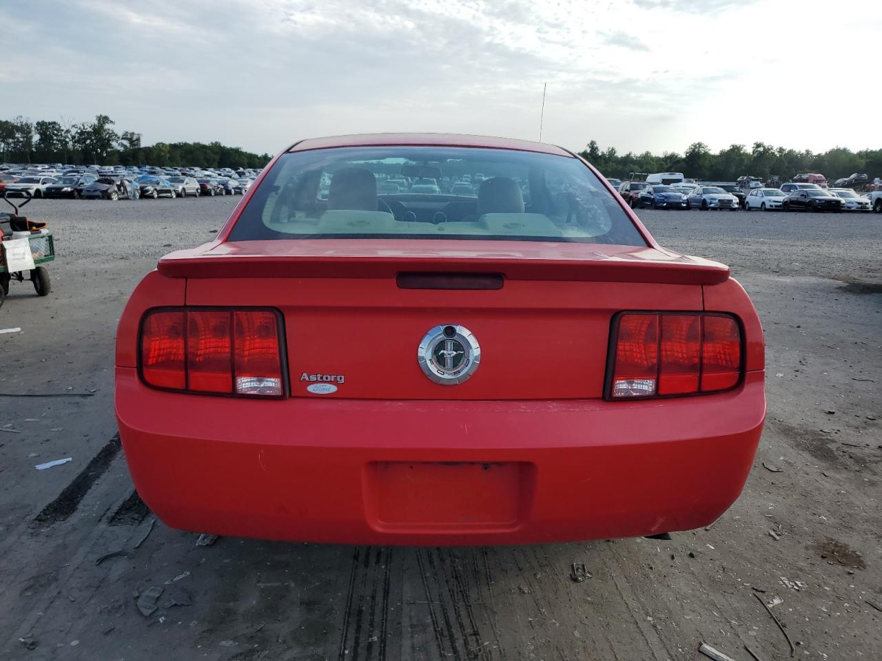 2007 Ford Mustang VIN: 1ZVFT80N775361103 Lot: 65332575