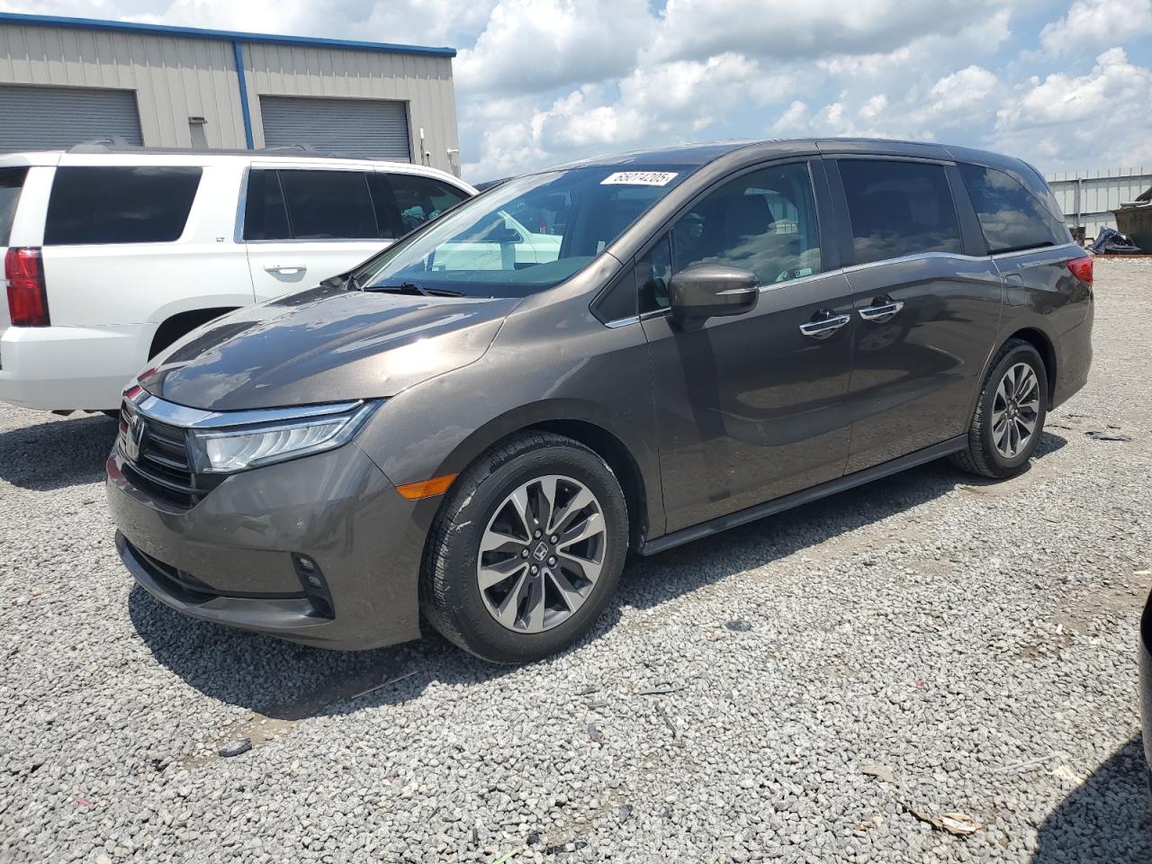 2022 Honda Odyssey Exl VIN: 5FNRL6H70NB010555 Lot: 65074205