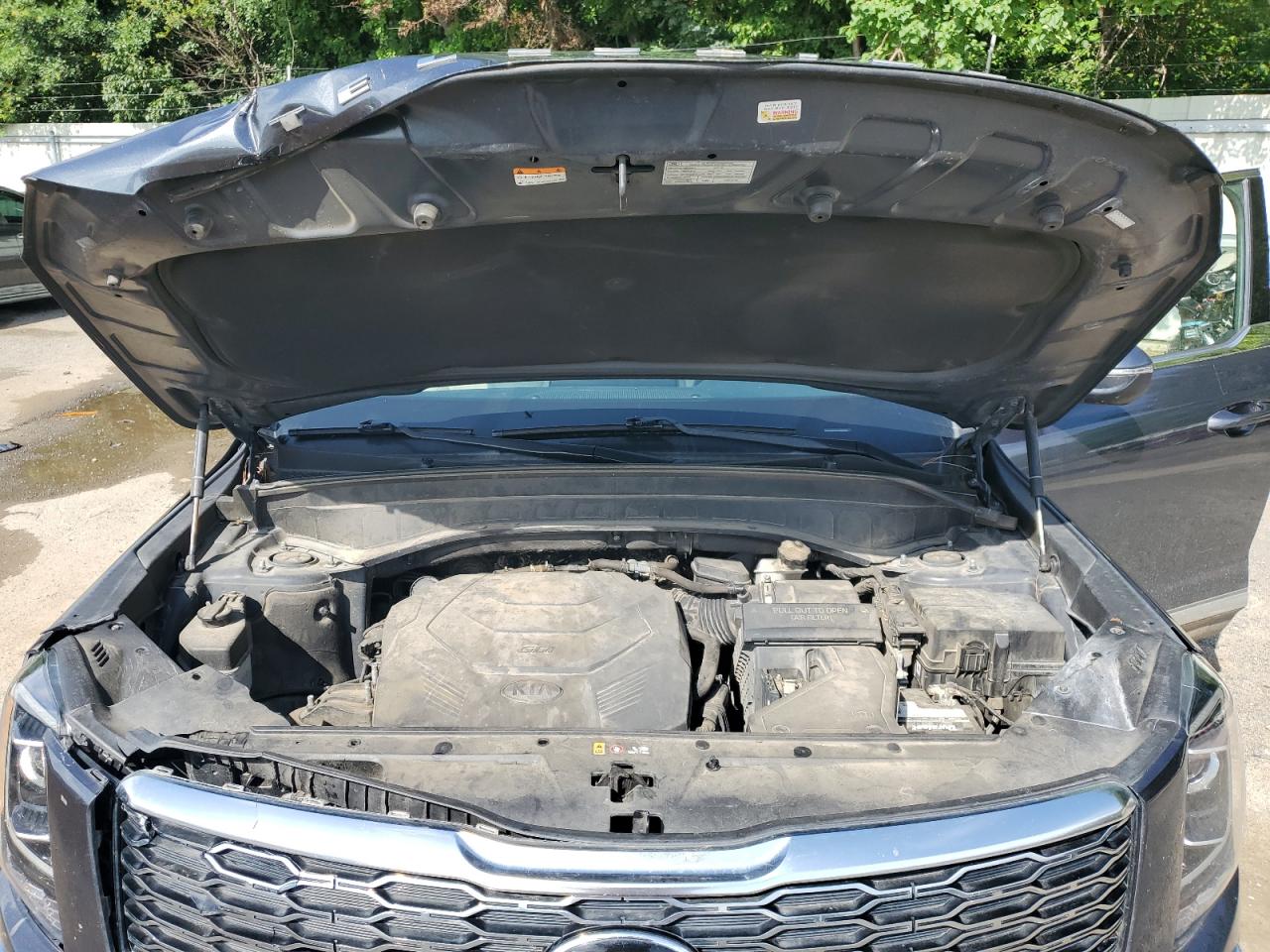 2020 Kia Telluride Ex VIN: 5XYP34HC4LG055433 Lot: 64028725