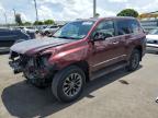 2019 LEXUS GX 460   for sale at Copart FL - MIAMI CENTRAL