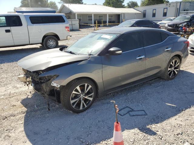 Sedans NISSAN MAXIMA 2017 Szary