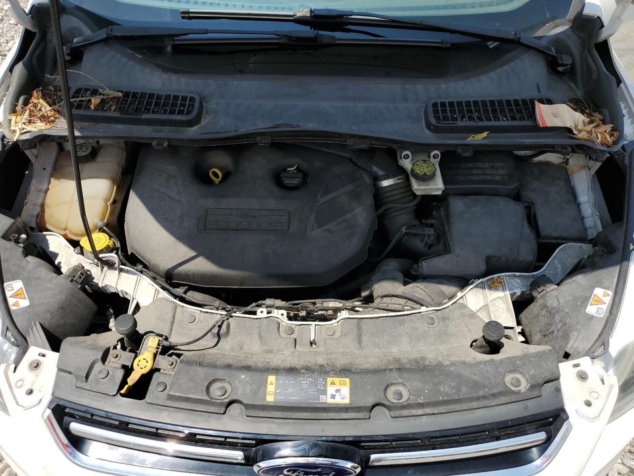 2013 Ford Escape Titanium VIN: 1FMCU0J98DUD35449 Lot: 64563105