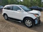 2009 HONDA CR-V EXL   for sale at Copart ON - COOKSTOWN