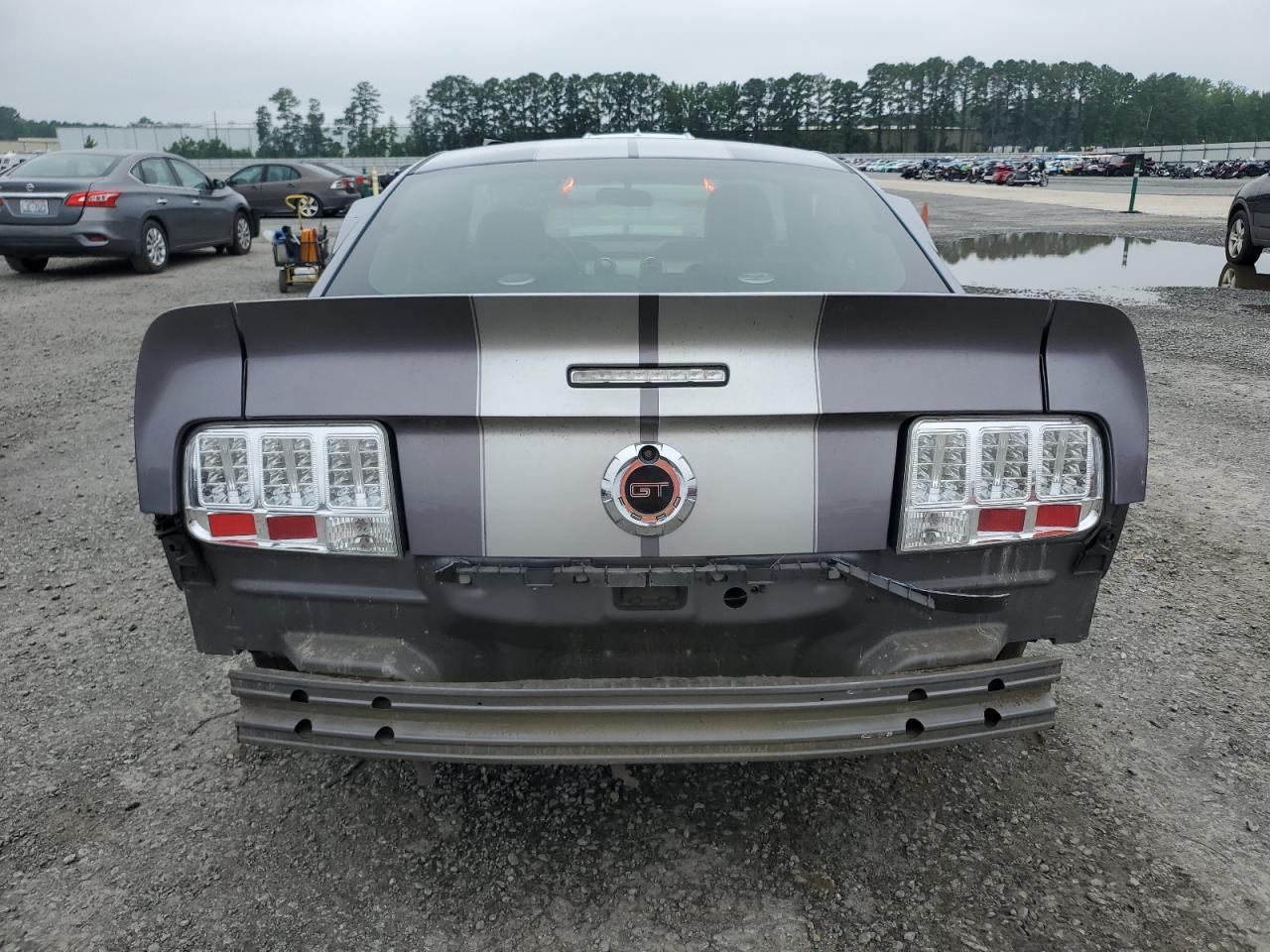 2006 Ford Mustang Gt VIN: 1ZVHT82H165168573 Lot: 64133795
