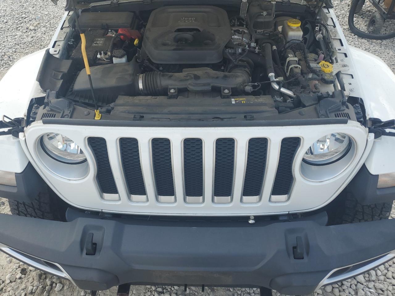 2019 Jeep Wrangler Unlimited Sahara VIN: 1C4HJXEN7KW591781 Lot: 63769795