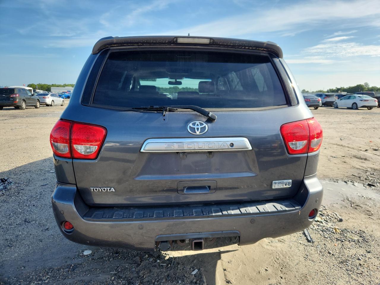 2010 Toyota Sequoia Platinum VIN: 5TDYY5G1XAS029639 Lot: 64479585