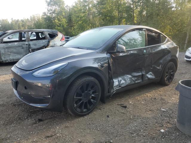 2024 TESLA MODEL Y    for sale at Copart ON - COOKSTOWN