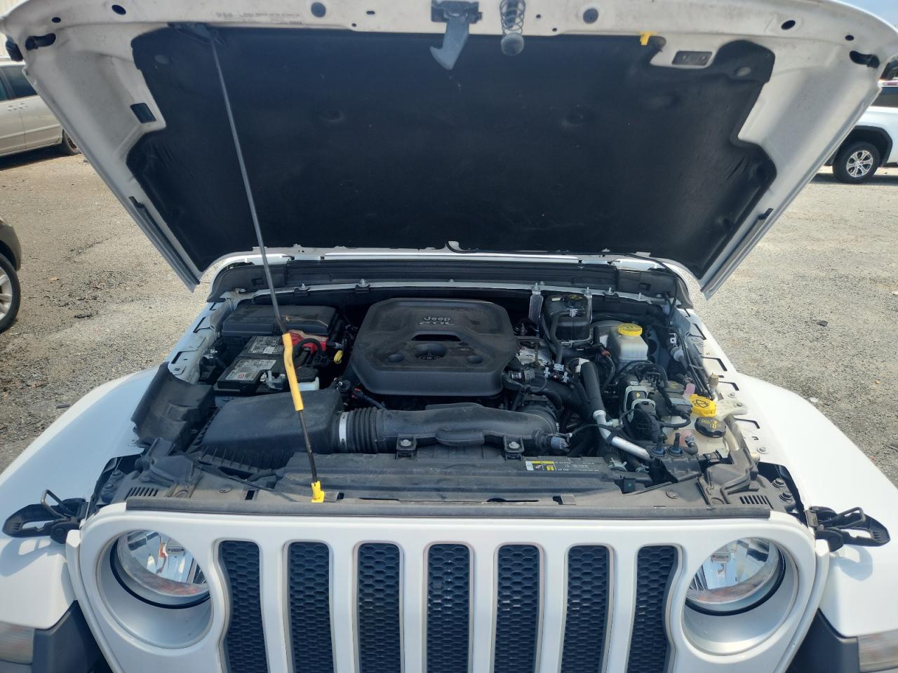 2020 Jeep Wrangler Unlimited Sahara VIN: 1C4HJXEN7LW165137 Lot: 64458345
