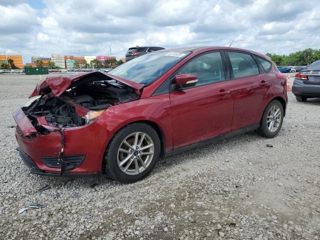  FORD FOCUS 2015 Red