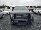 2012 FORD F150 SUPERCREW   à vendre chez Copart QC - MONTREAL