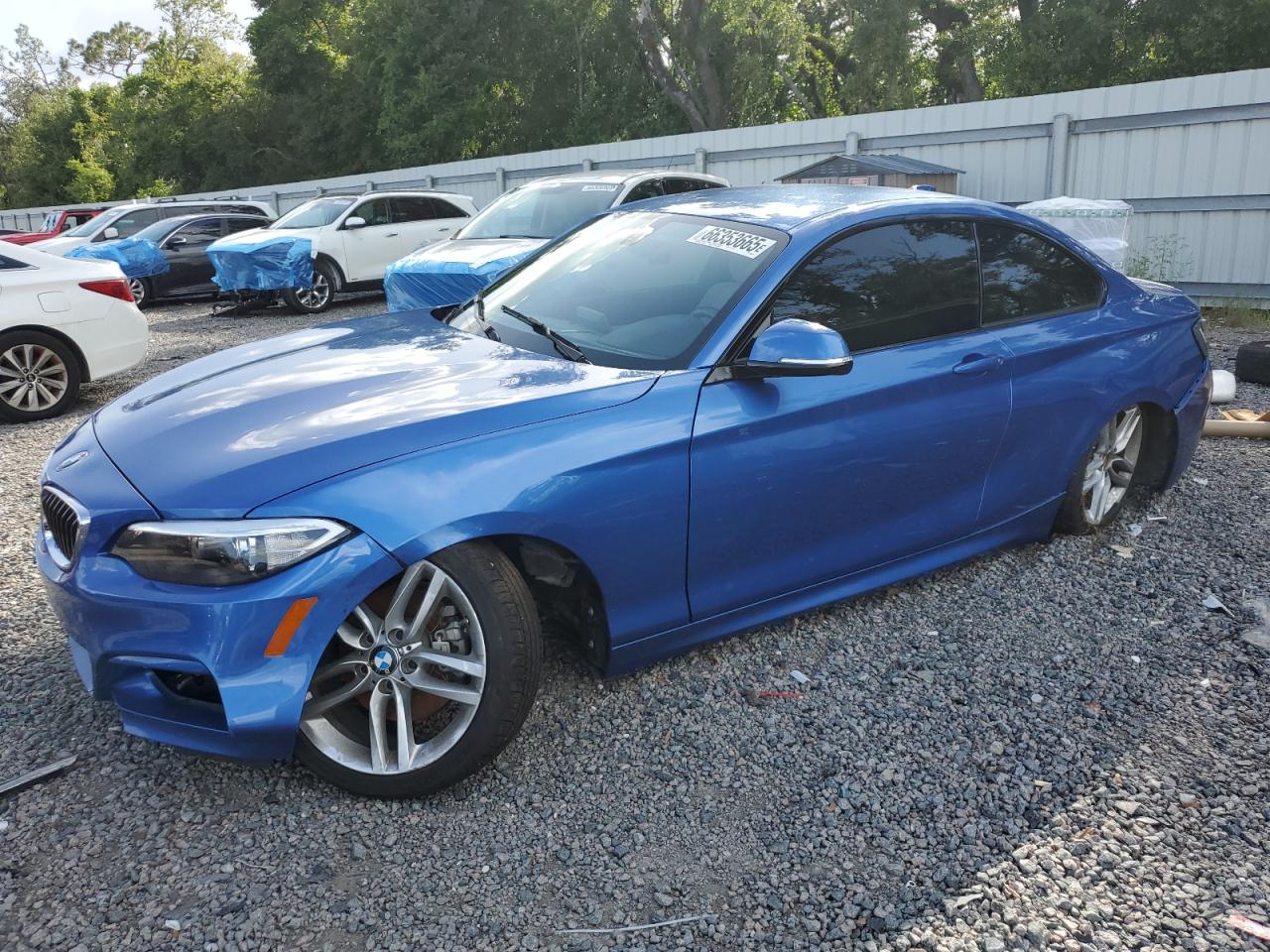 2016 BMW 228 I Sulev VIN: WBA1F9C51GV545567 Lot: 66353665