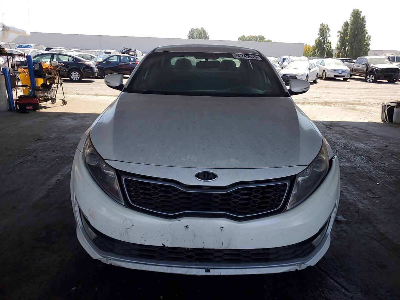 2011 Kia Optima Hybrid VIN: KNAGM4AD7B5006313 Lot: 66740845
